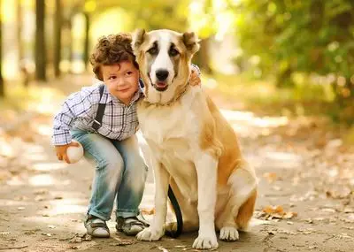Guardianship Services in California